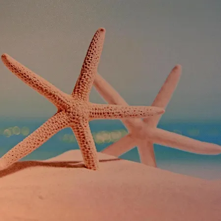 بيت للعطل Ferienhaeuser Am Teich,